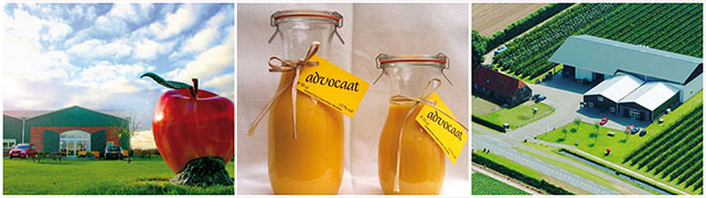 Advocaatje en fruit